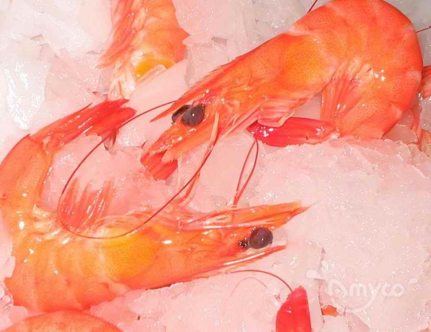Vannamei Shrimp CHOSO.jpg