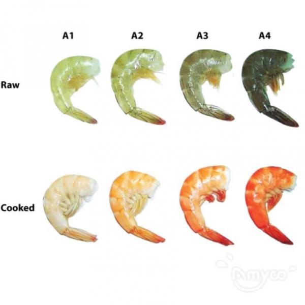 Shrimp Color Grade