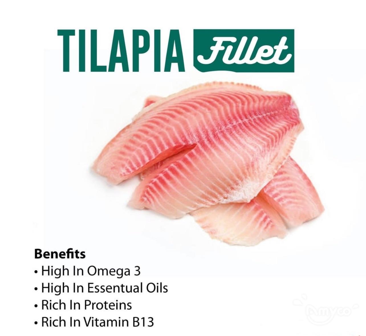 Tilapia (13).JPG