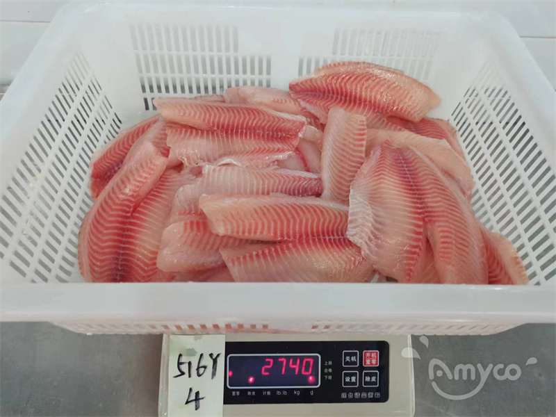 Tilapia Fillets 60%NW 3-5oz (10).jpg