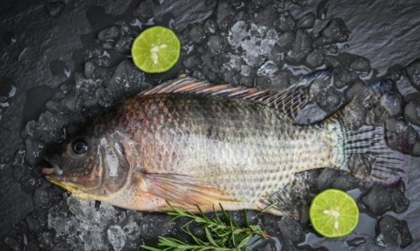 The United States imported frozen tilapia in slightly higher quantities than basa