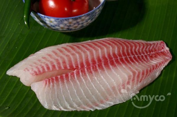 Beautiful Tilapia Fillets